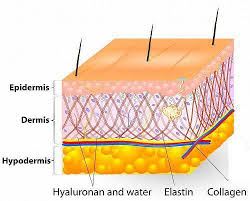 روش های کلاژن سازی پوست